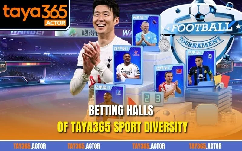 Betting halls of TAYA365 sport diversity