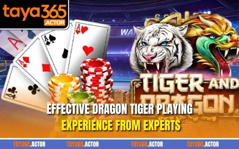 Effective Dragon Tiger playing experience from experts