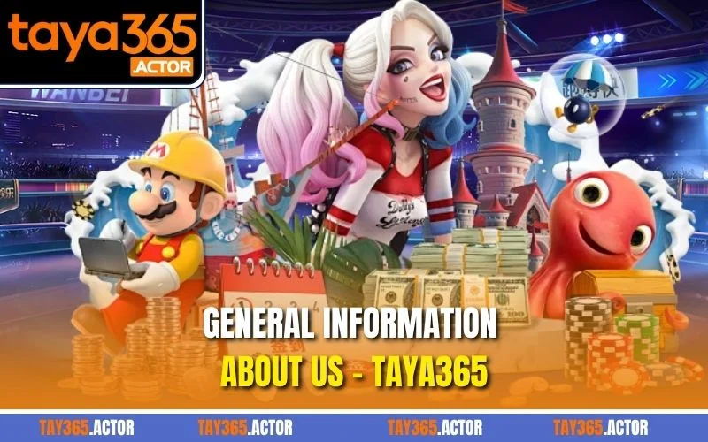 General information about us - TAYA365