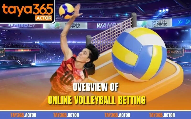 Overview of online volleyball betting