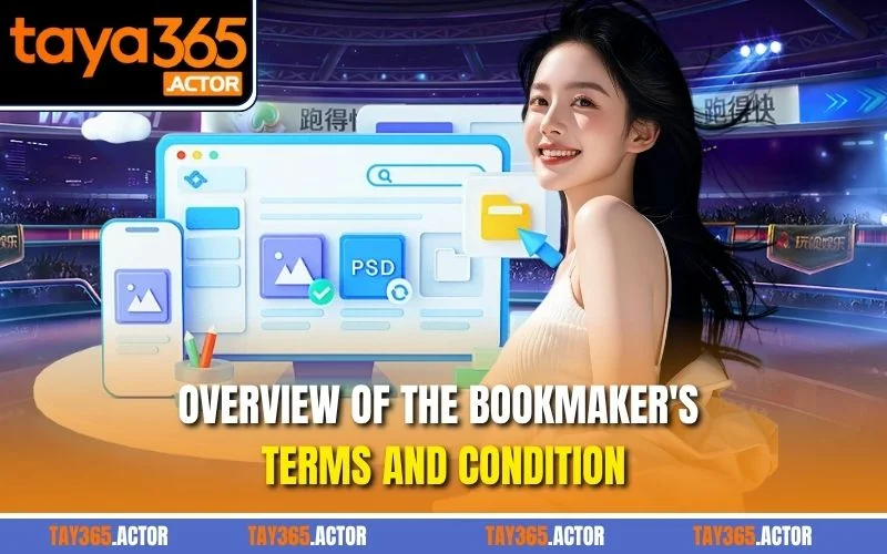 Overview of the bookmaker's terms and condition
