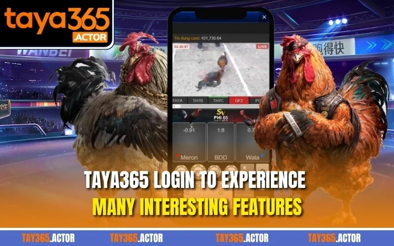 TAYA365 login to experience many interesting features